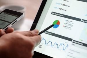 Professional SEO Services