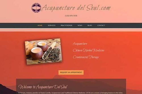 Acupuncture del Soul